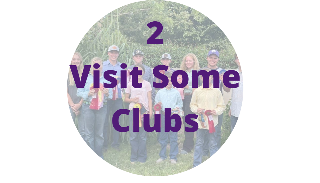 Visit Clubs