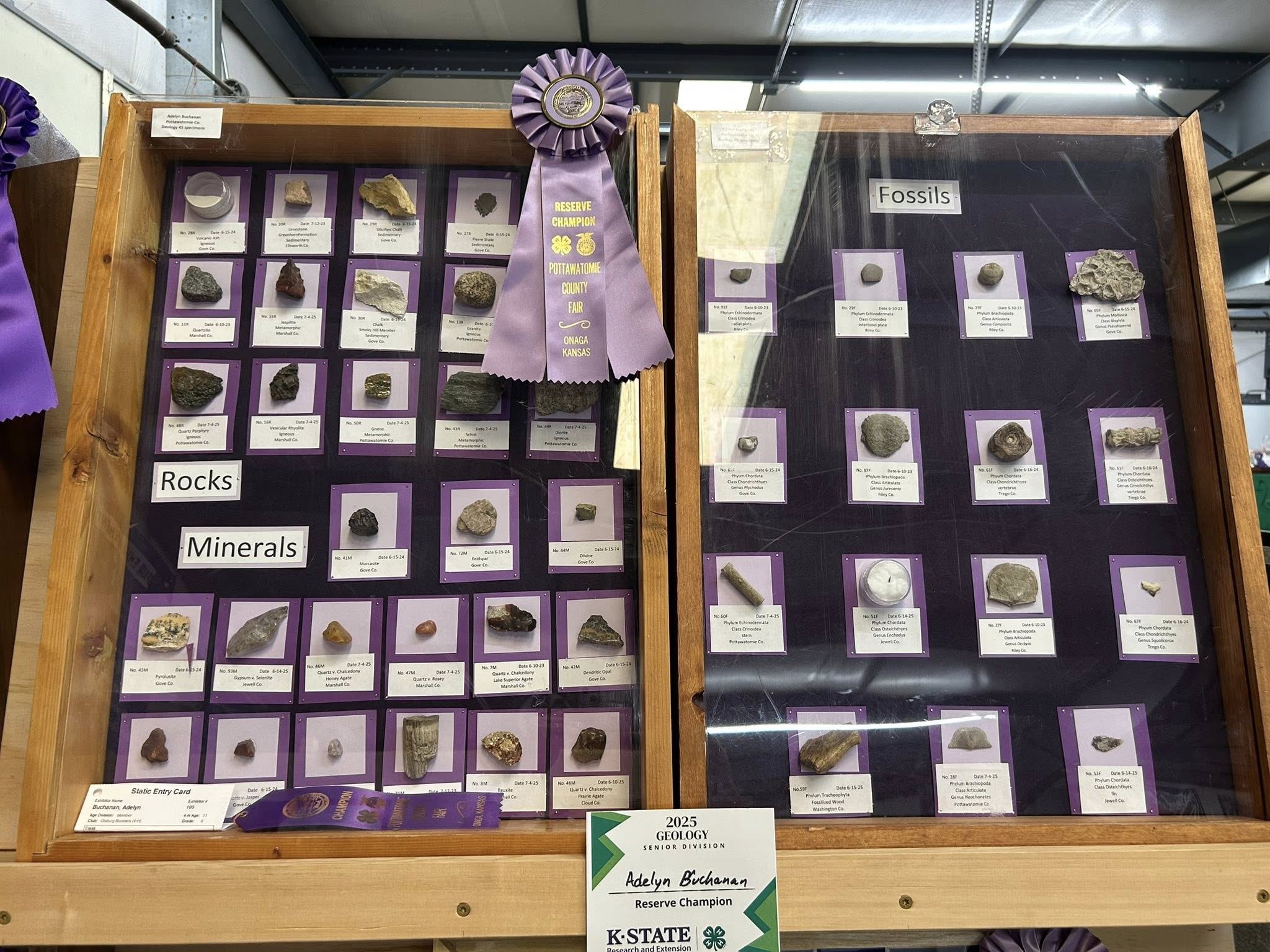 Rocks, Minerals, Fossils