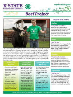 Beef Project