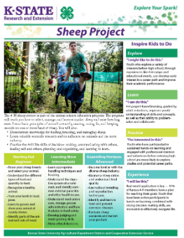 Sheep Project
