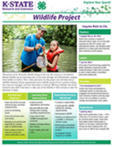 Wildlife Project