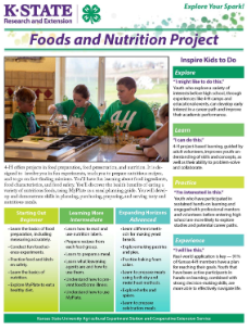 Food and Nutrition Project