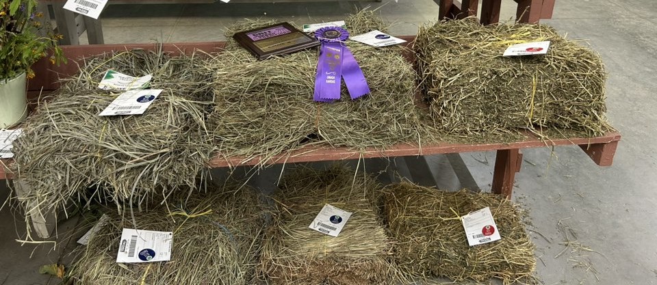 Alfalfa entries at county fair