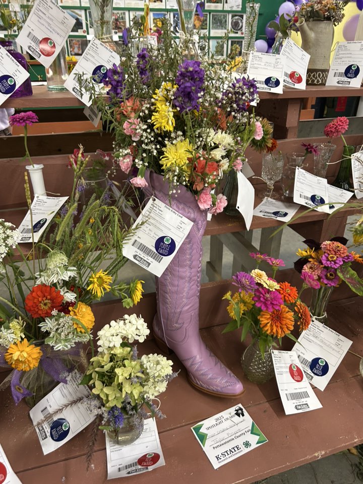 Horticulture entries at county fair