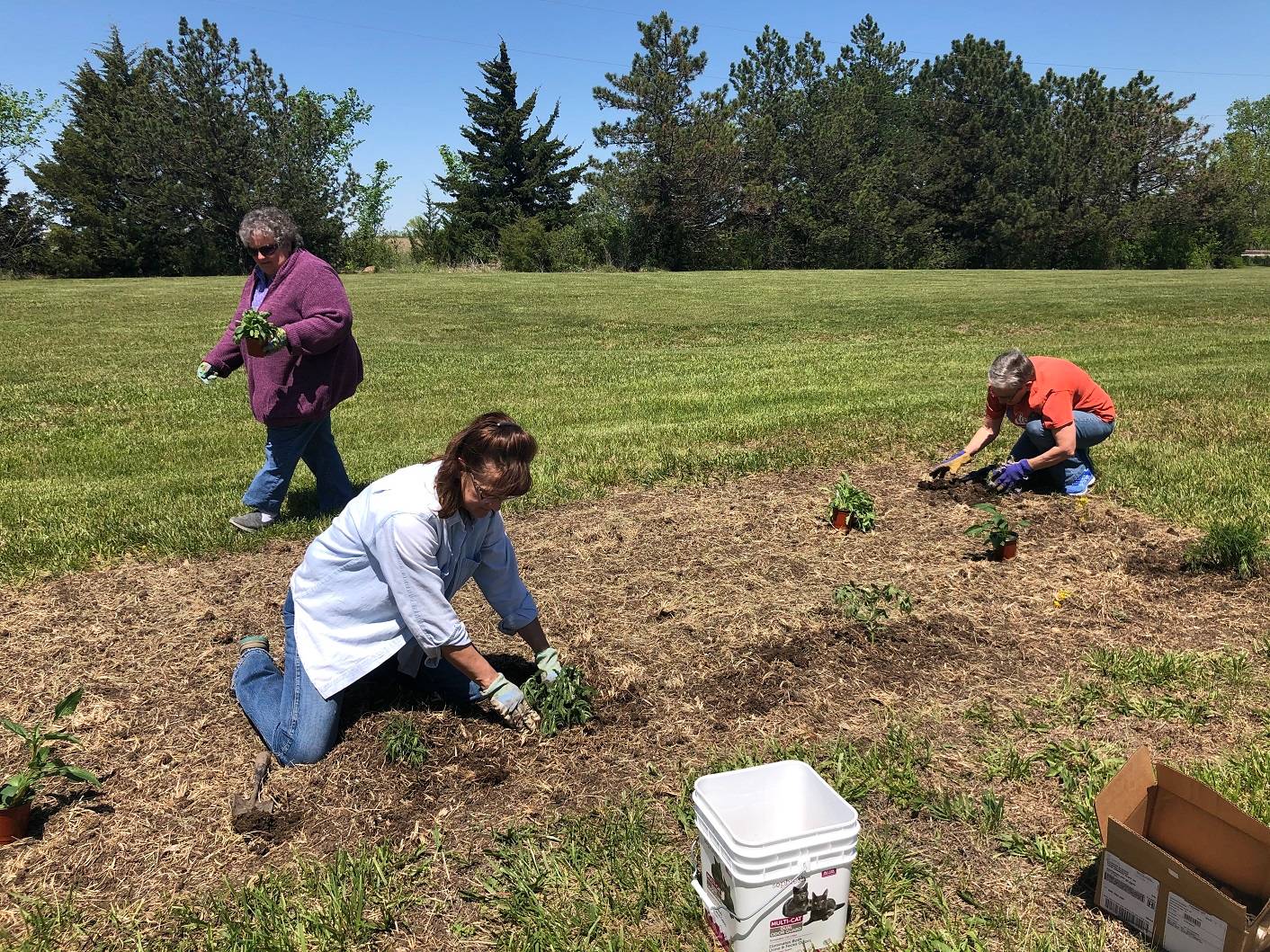 planting garden