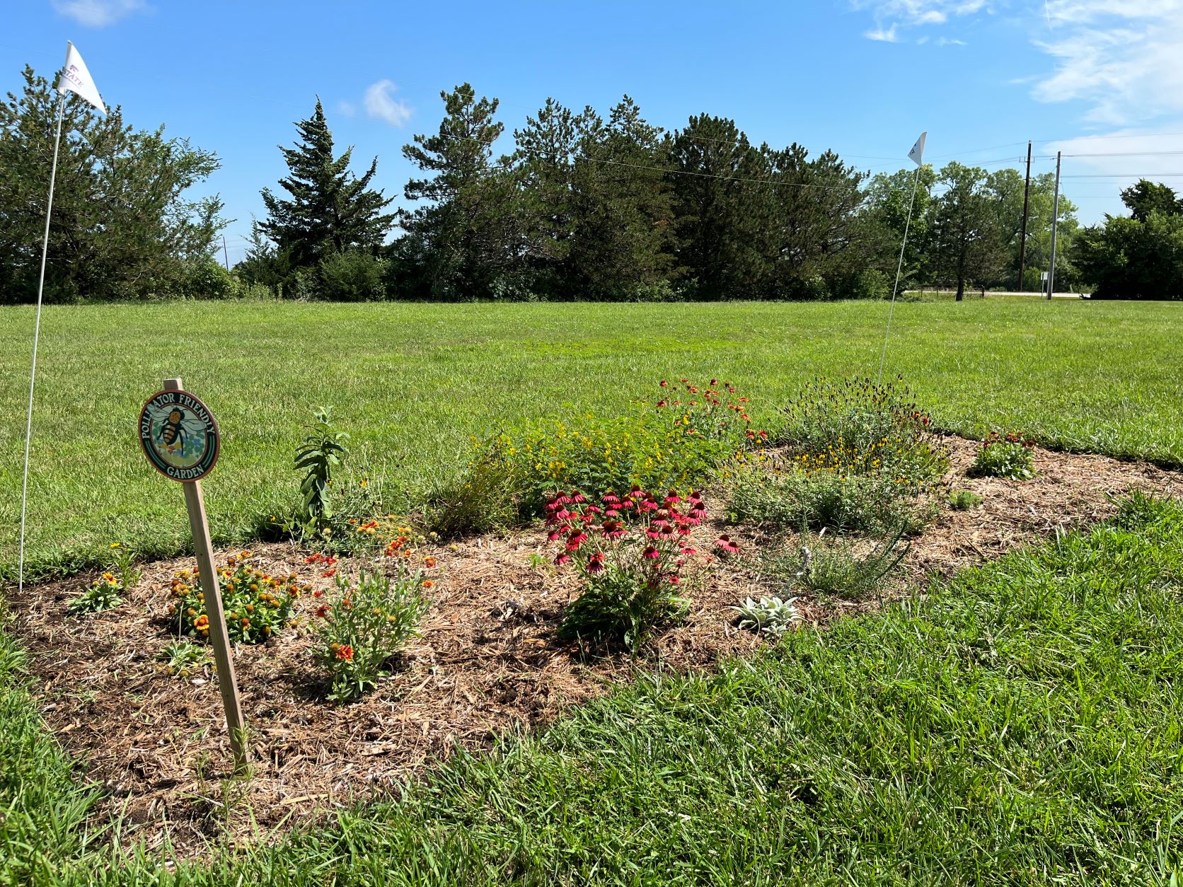 pollinator garden